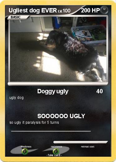 Pokemon Ugliest dog EVER