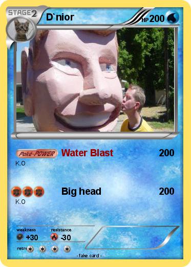 Pokemon D`nior