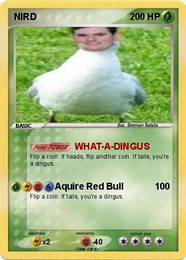 Pokemon NIRD