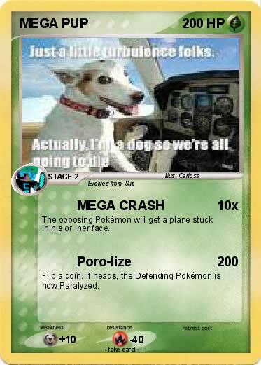 Pokemon MEGA PUP