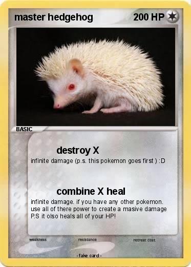 Pokemon master hedgehog