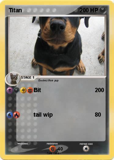 Pokemon Titan