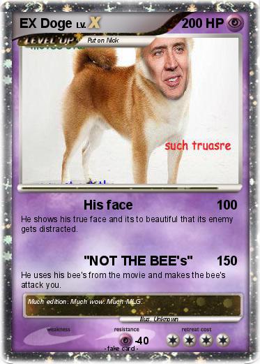 Pokemon EX Doge
