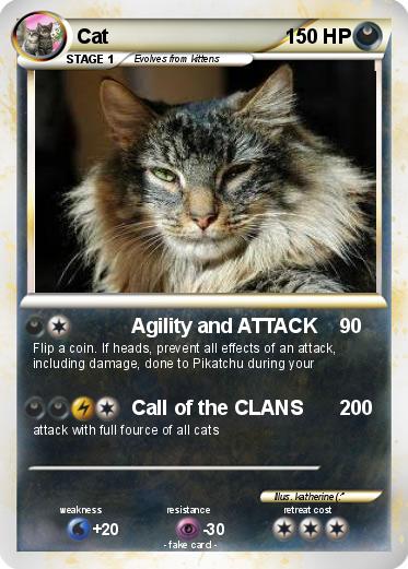 Pokemon Cat