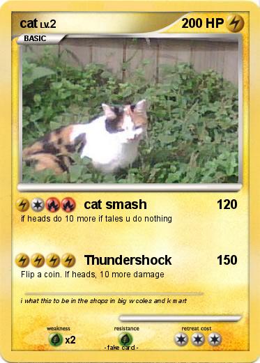 Pokemon cat