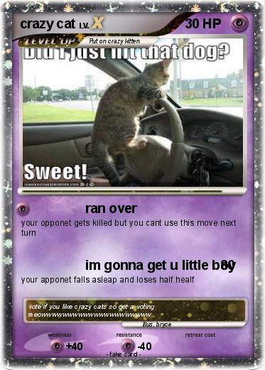 Pokemon crazy cat
