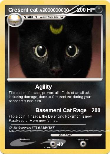 Pokemon Cresent cat