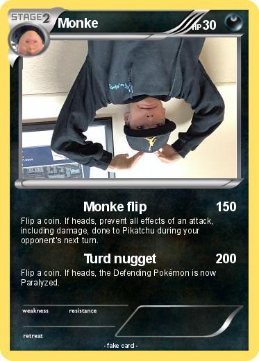 Pokemon Monke