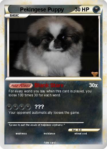 Pokemon Pekingese Puppy