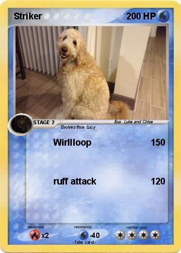 Pokemon Striker