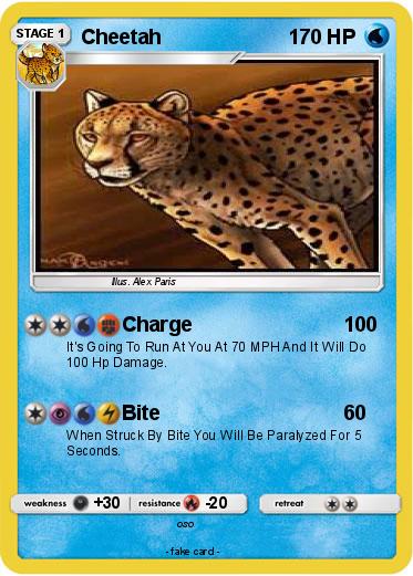 Pokemon Cheetah