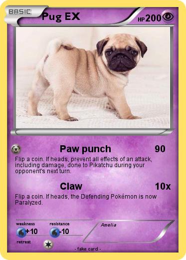 Pokemon Pug EX