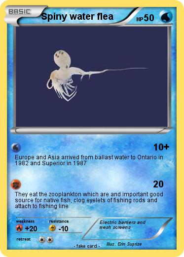 Pokemon Spiny water flea