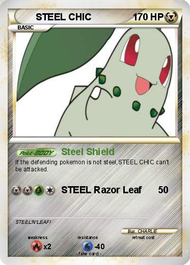 Pokemon STEEL CHIC