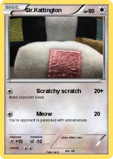 Pokemon Sir.Kattington