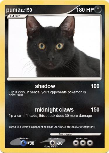 Pokemon puma