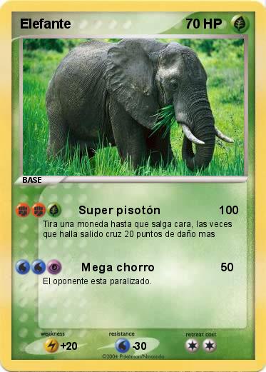 Pokemon Elefante
