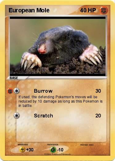 Pokemon European Mole