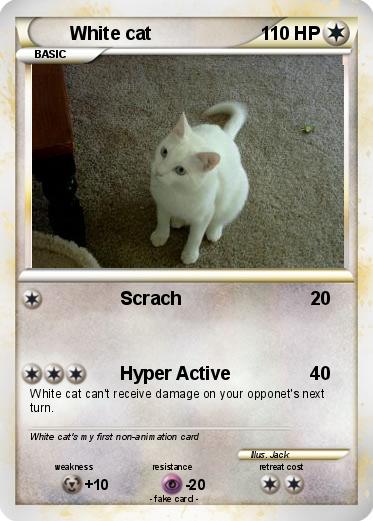Pokemon White cat