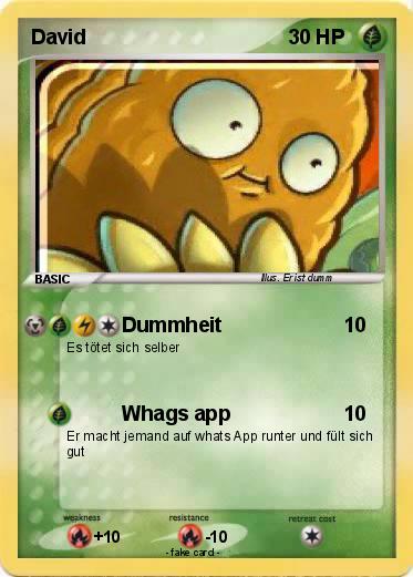 Pokemon David