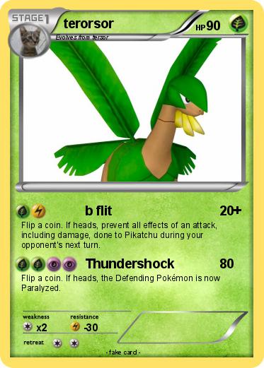 Pokemon terorsor