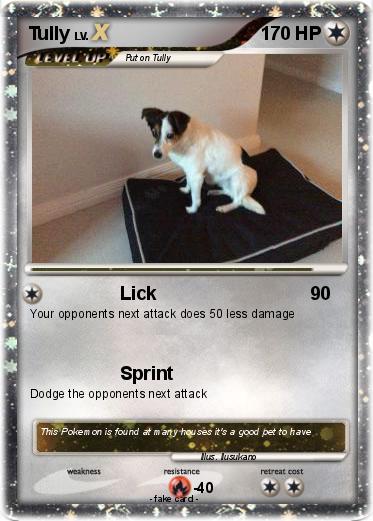 Pokemon Tully