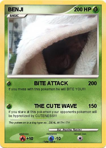 Pokemon BENJI
