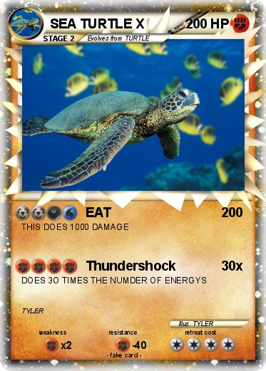 Pokemon SEA TURTLE X
