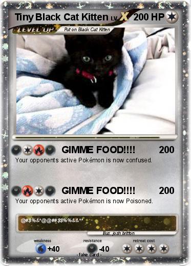 Pokemon Tiny Black Cat Kitten