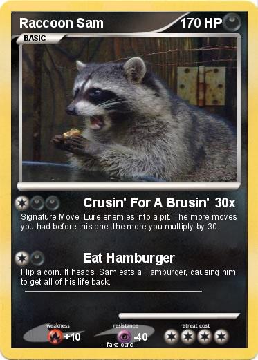 Pokemon Raccoon Sam