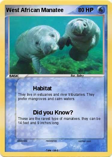 Pokemon West African Manatee