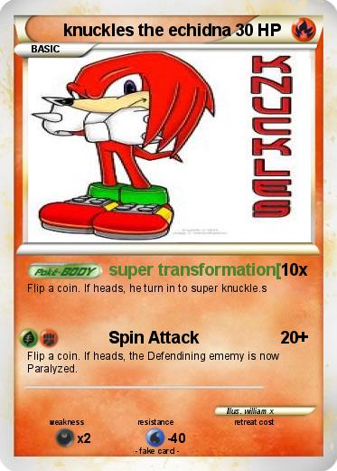Pokemon knuckles the echidna