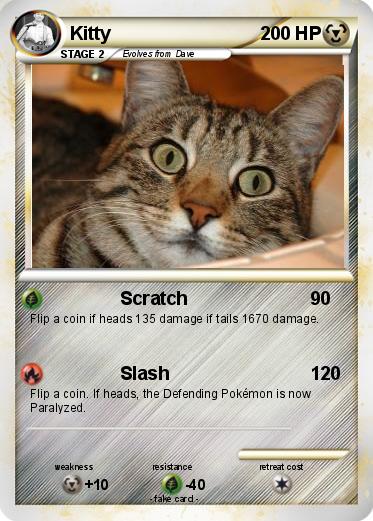 Pokemon Kitty