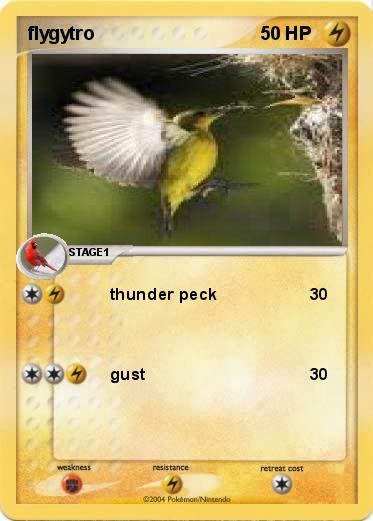 Pokemon flygytro