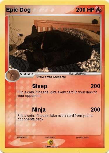 Pokemon Epic Dog