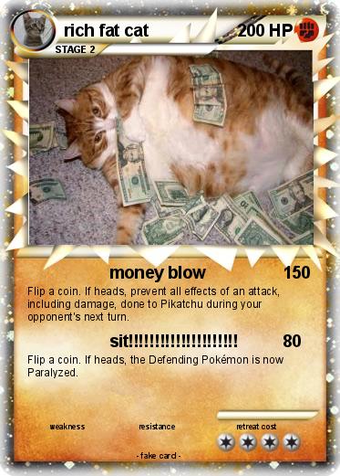 Pokemon rich fat cat