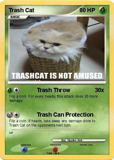 Pokemon Trash Cat