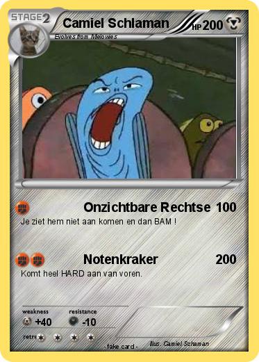 Pokemon Camiel Schlaman