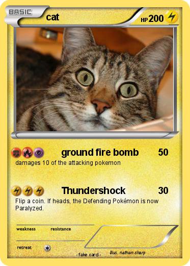 Pokemon cat