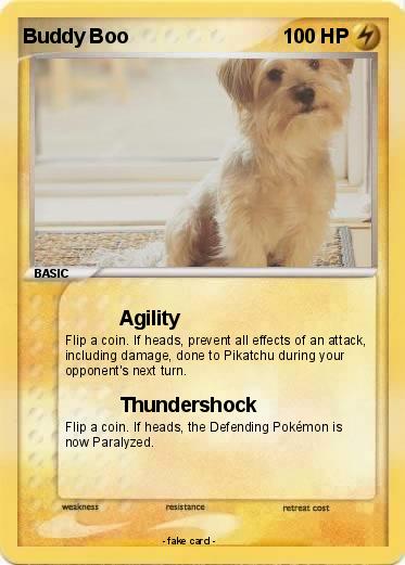 Pokemon Buddy Boo