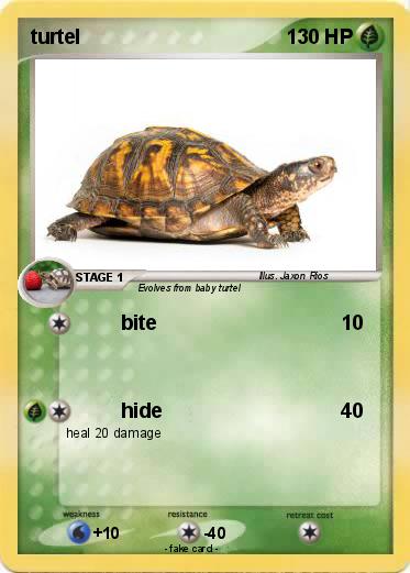 Pokemon turtel