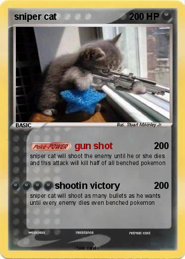 Pokemon sniper cat
