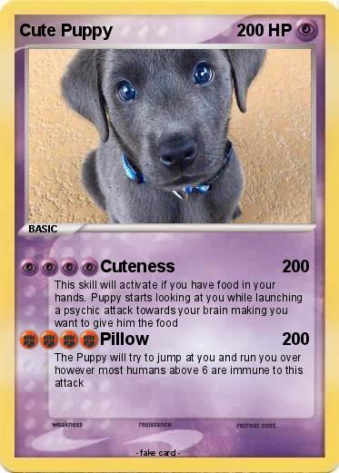 Pokemon Cute Puppy