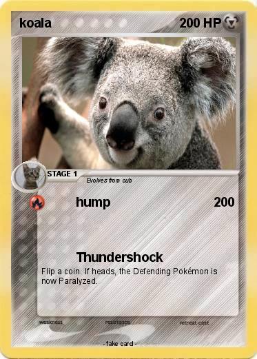 Pokemon koala