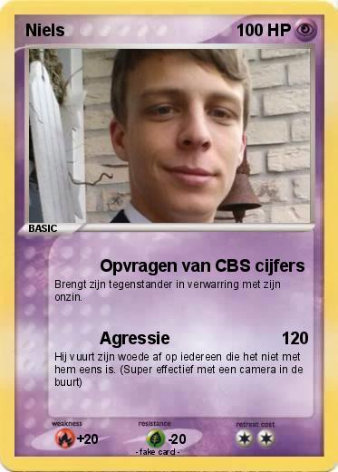 Pokemon Niels