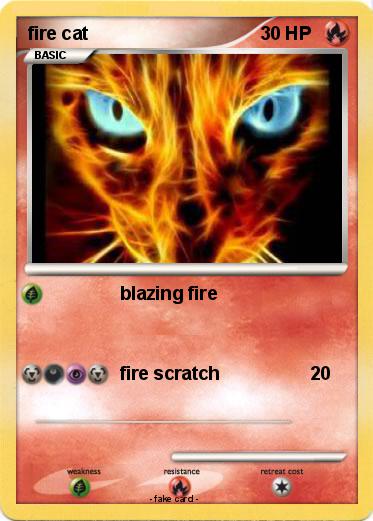 Pokemon fire cat