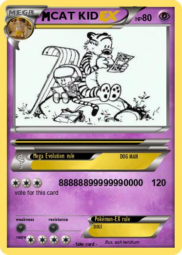 Pokemon CAT KID