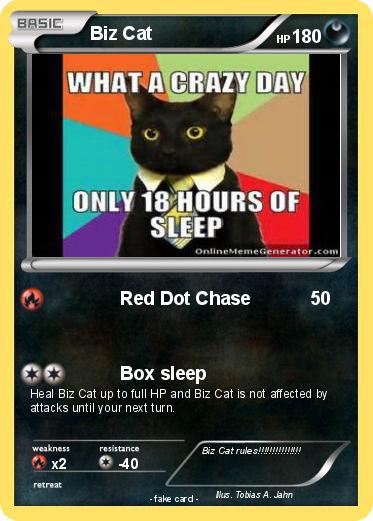 Pokemon Biz Cat