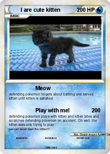 Pokemon I are cute kitten Pokemon I are cute kitten