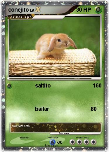 Pokemon conejito